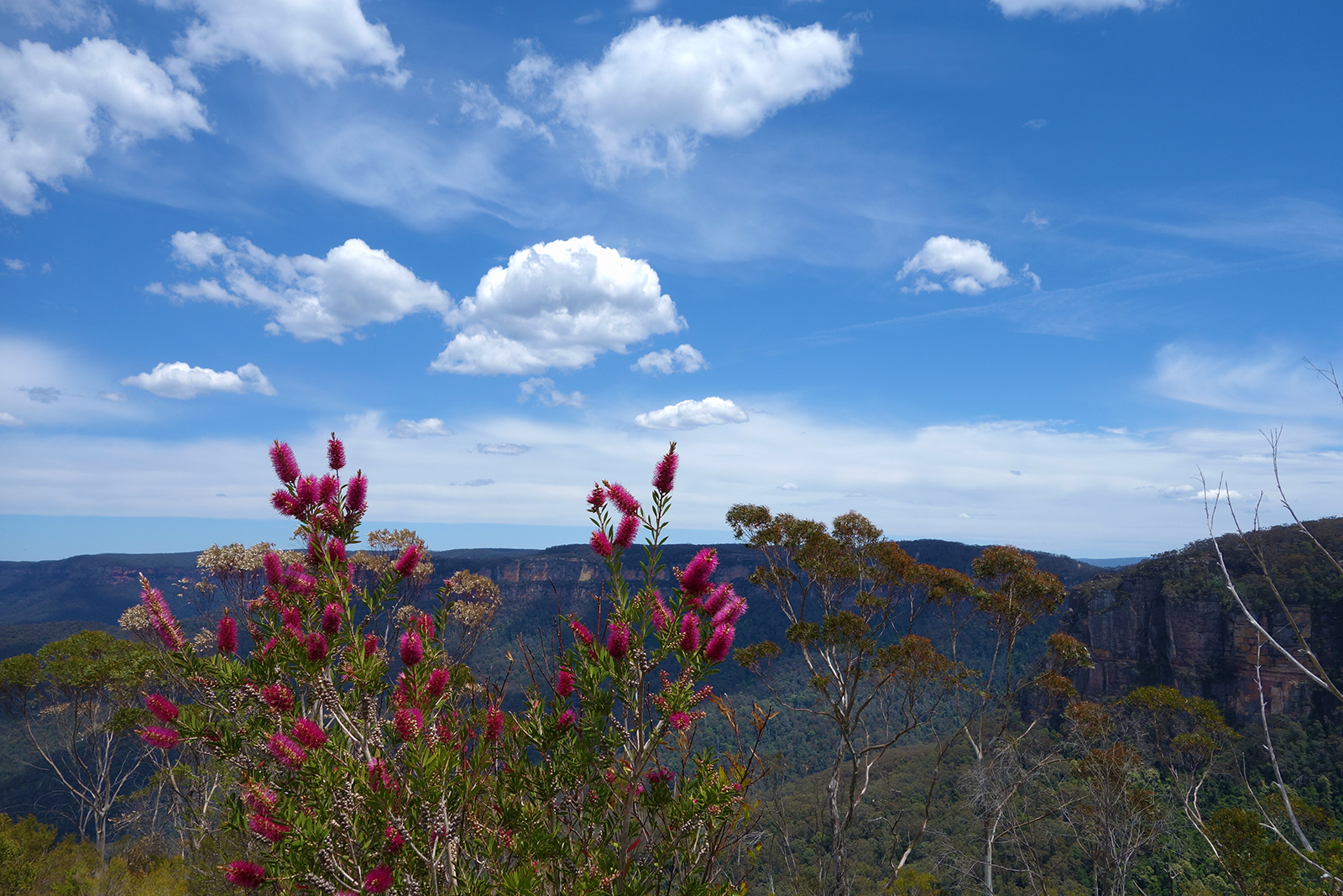 澳大利亚蓝山国家公园图片