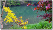 门外青山翠紫堆——初冬的帽子峰林场（LX5篇）