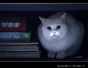电视柜中躲猫猫