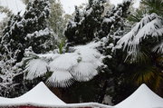 昆明2013年的最后一次雪