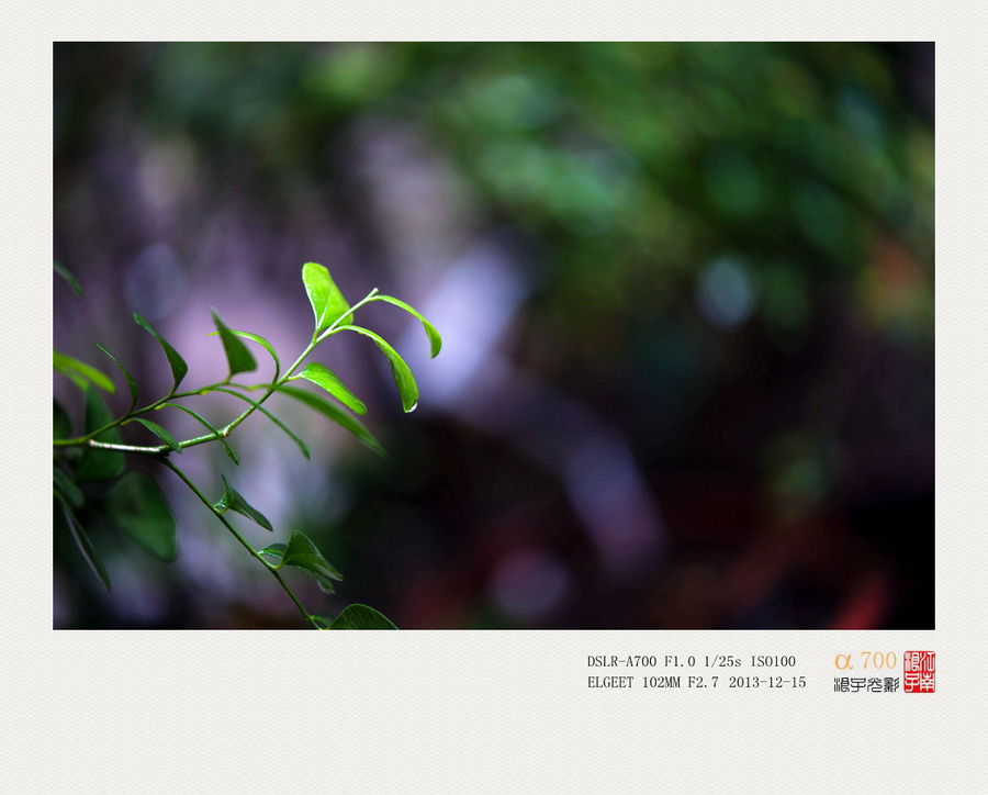 ҶELGEET 102MM F2.7 Ӱͷ¿ͼƬΣ