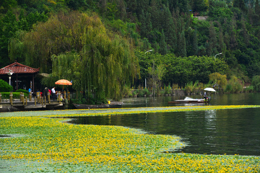 宜宾月亮湾风景区图片