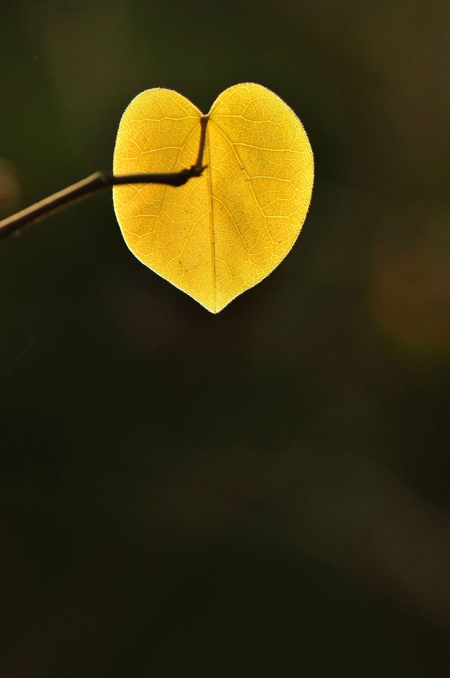 һ
