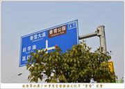 感受第六届广州萝岗香雪旅游文化节萝岗香雪公园，梅花怒放！