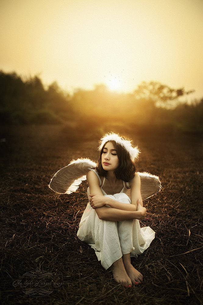  The light of angel wings2