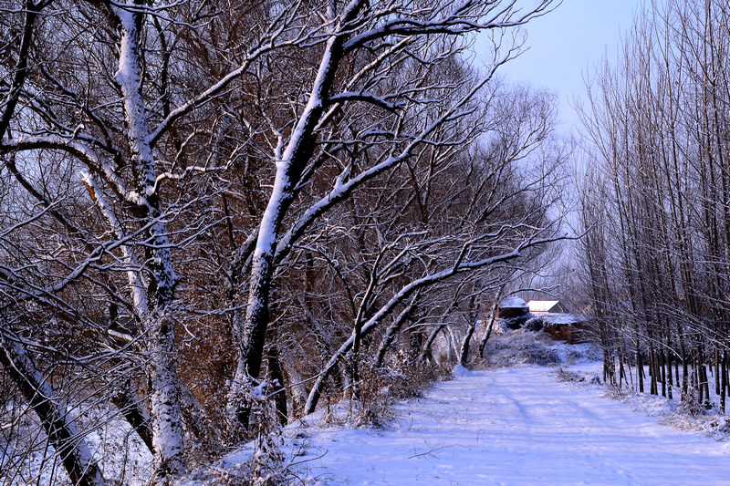 雪後美景