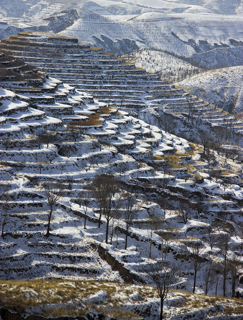 陕北农村雪景图片