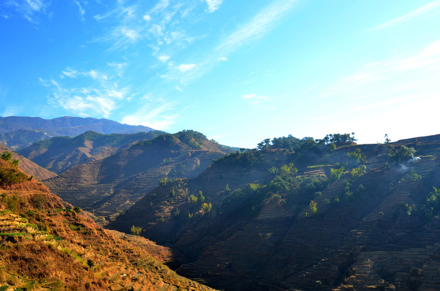 2014---Ĳ԰⡣¼һĹӰ