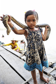 洞里萨湖玩蛇的小女孩