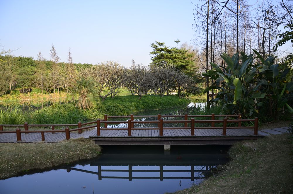 大沙河湿地