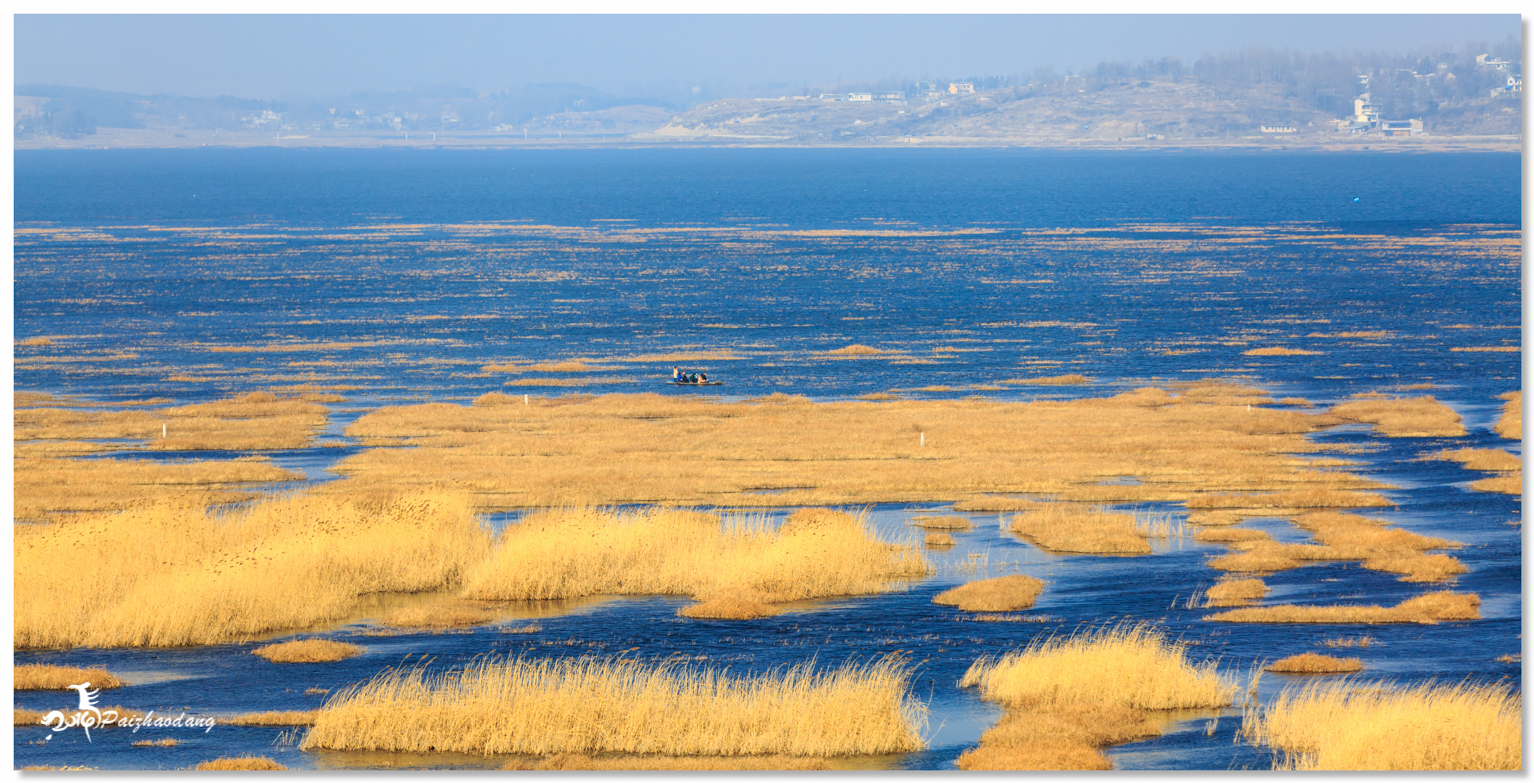 黔威宁草海：冬季拍摄鸟类的好地方