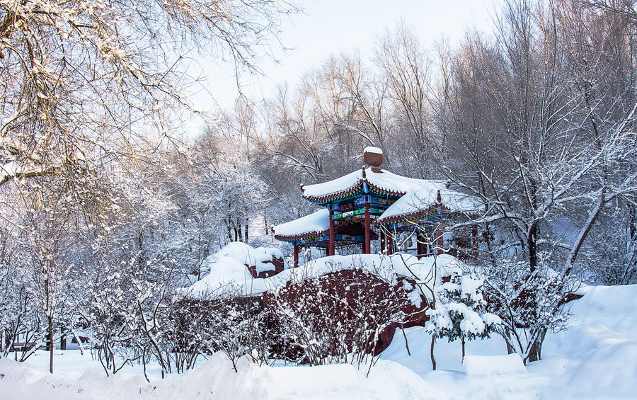 北京春雪照片图片