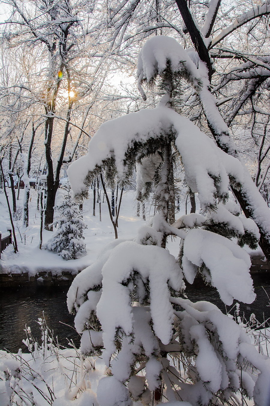 北京春雪照片图片