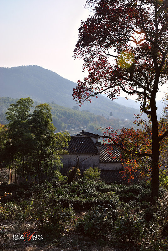 鄉村小景3