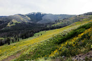 大自然色彩斑斓的神奇画作——美国黄石公园美景
