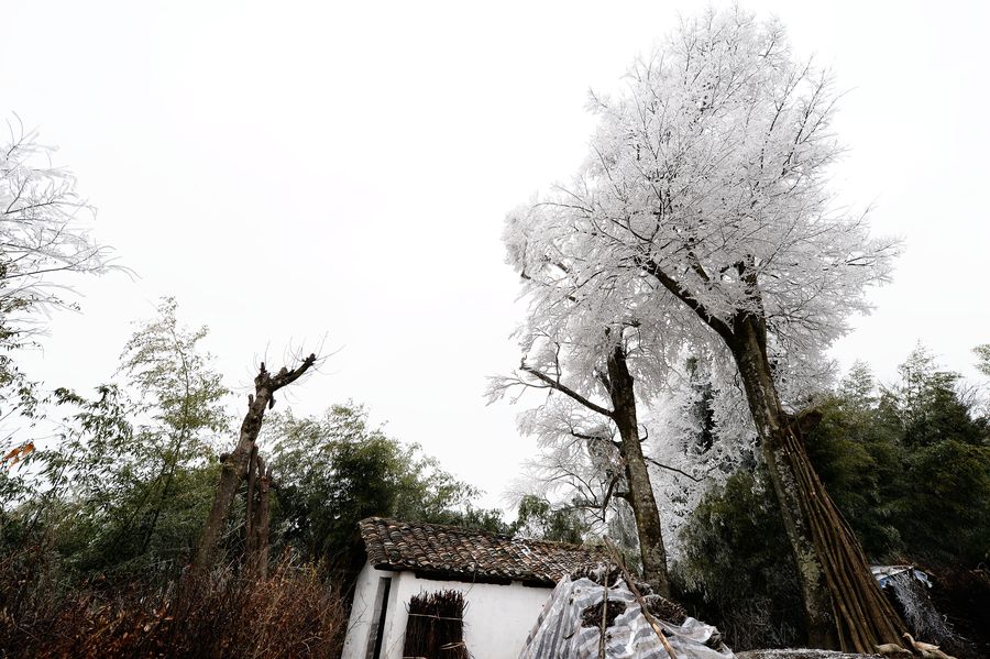 【貴陽雪景攝影圖片】風光攝影_太平洋電腦網攝影部落