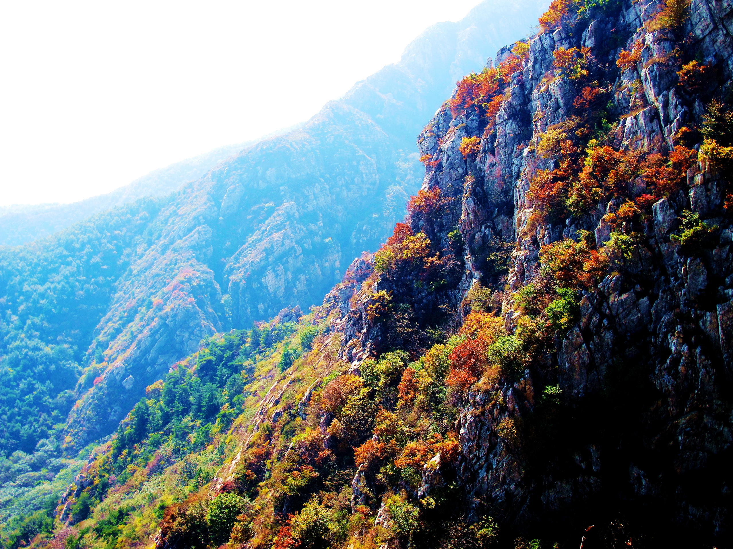 江川大黑山风景区图片