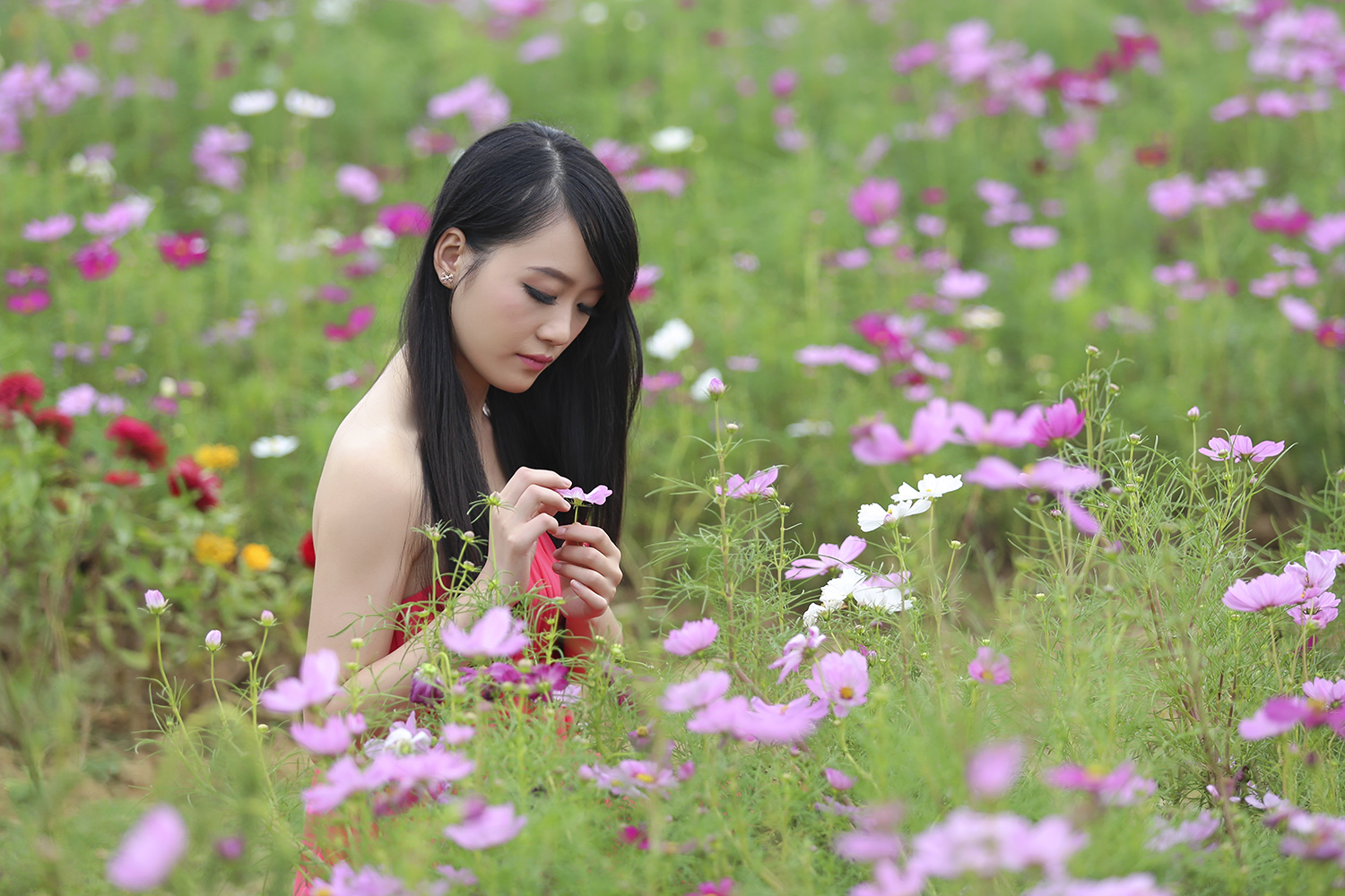 花丛中微笑的清纯美女人物 - 免费可商用图片 - CC0素材网