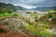 春雨九峰