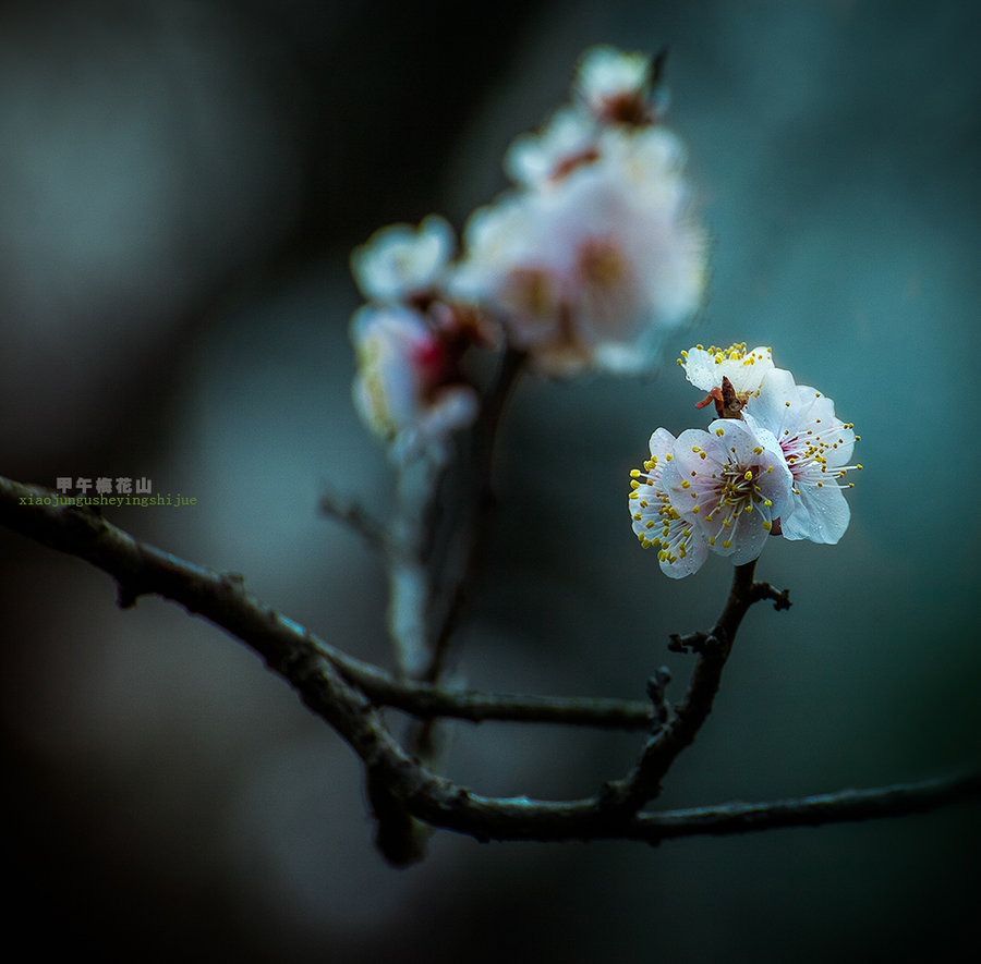 ÷ɽ֮÷㡷