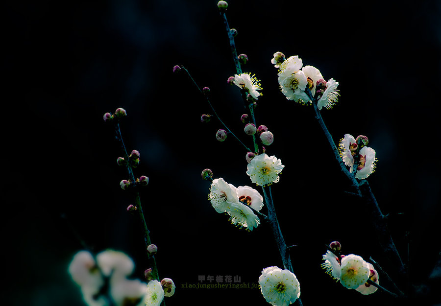 ÷ɽ֮÷㡷