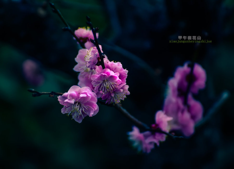 ÷ɽ֮÷㡷