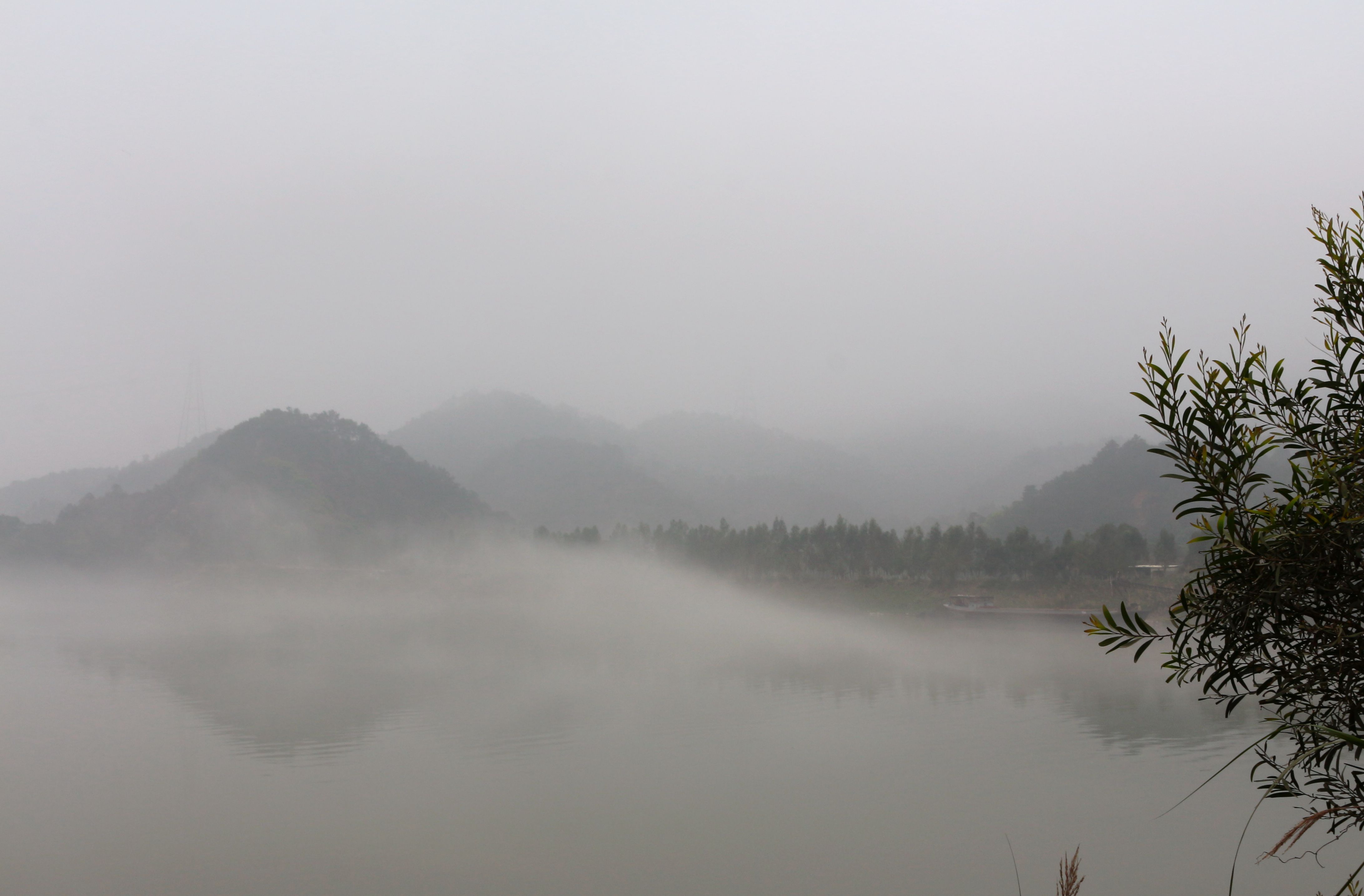 雾蒙蒙的风景图片图片
