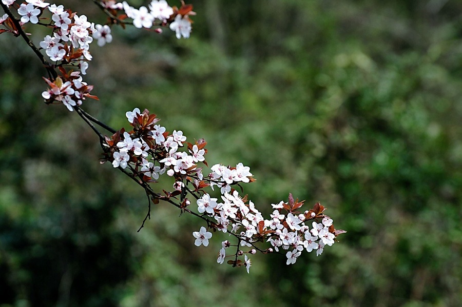 Ұ滨