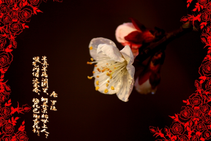 ɫ԰زסһ֧ӳǽ