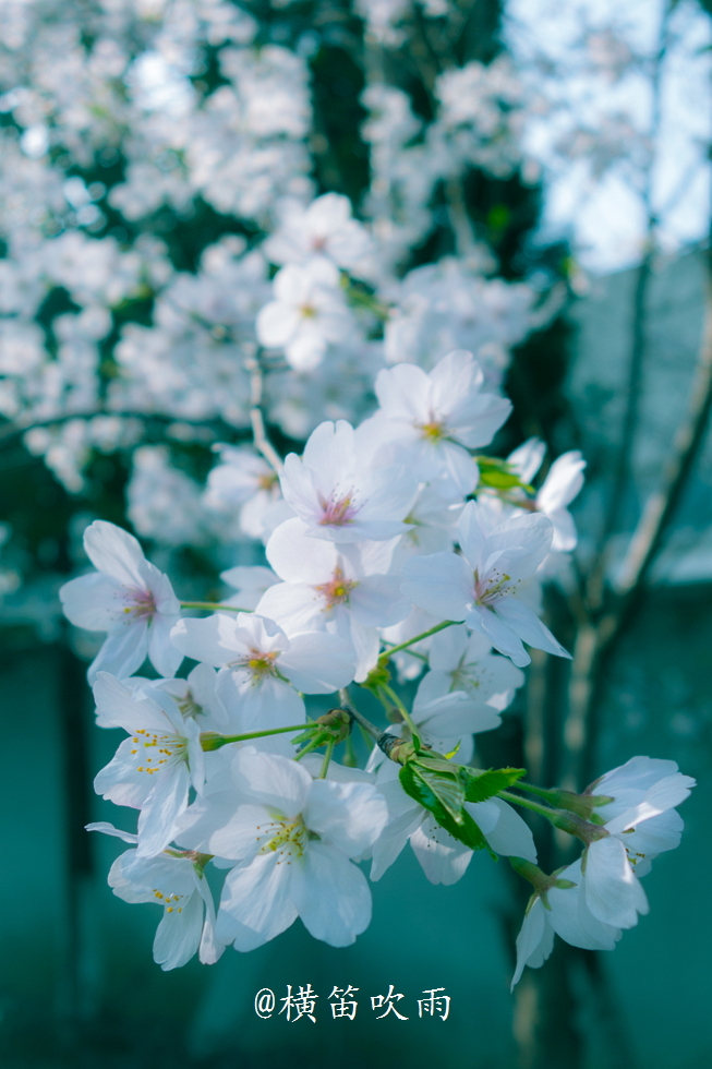 Ļ㣬˳
