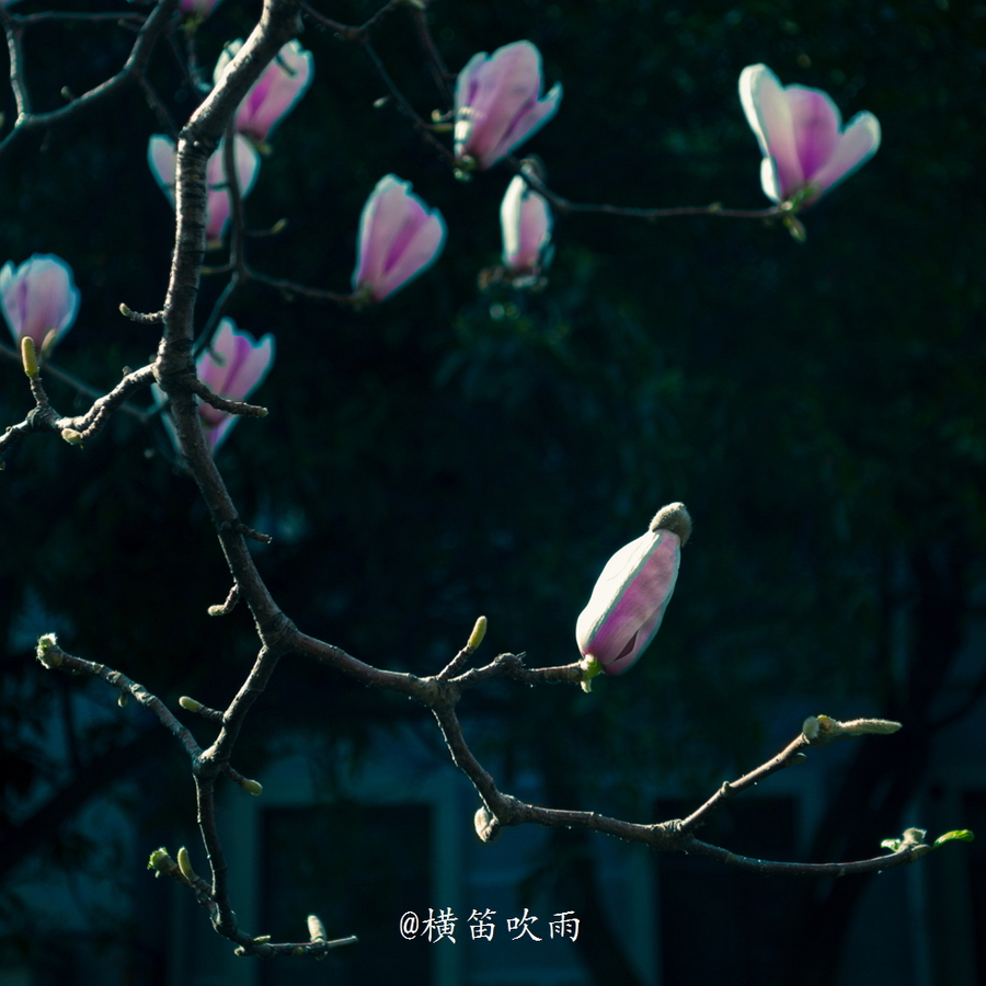 Ļ㣬˳