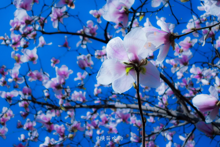 Ļ㣬˳