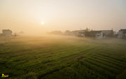 金山田野晨景