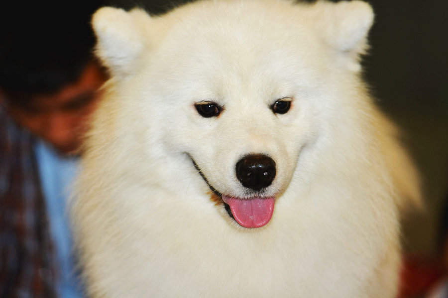 Ȯ(֣