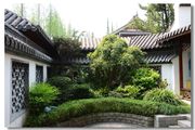 上海植物园------兰花古园