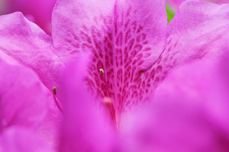 ǻ