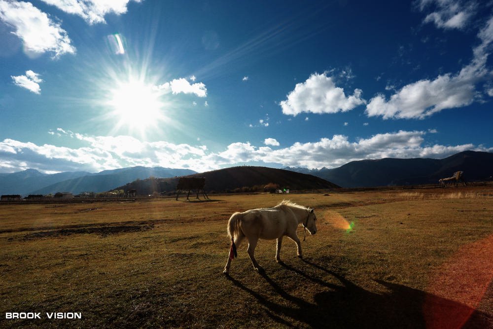 香格里拉——依拉草原