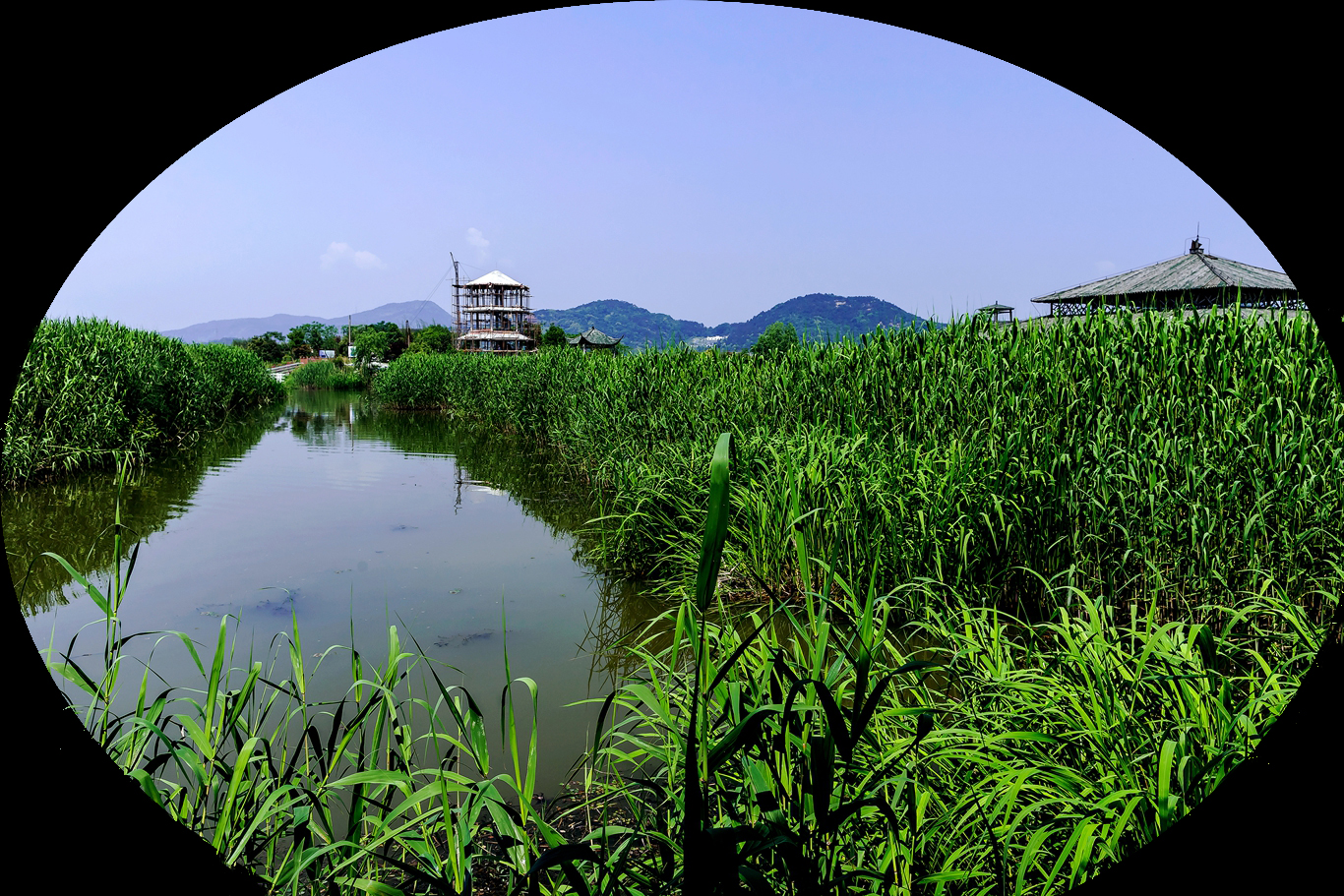 下渚湖湿地风光(二)