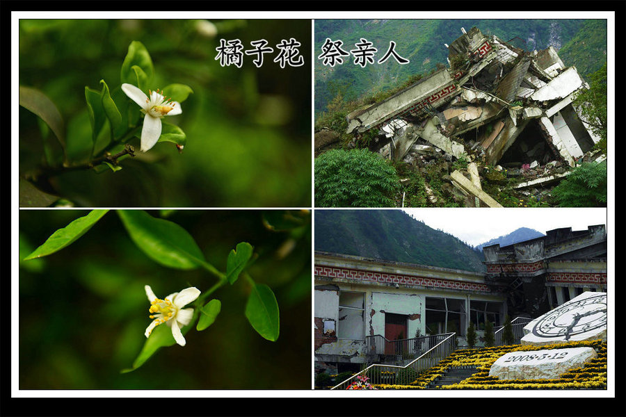 橘子白花祭奠親人