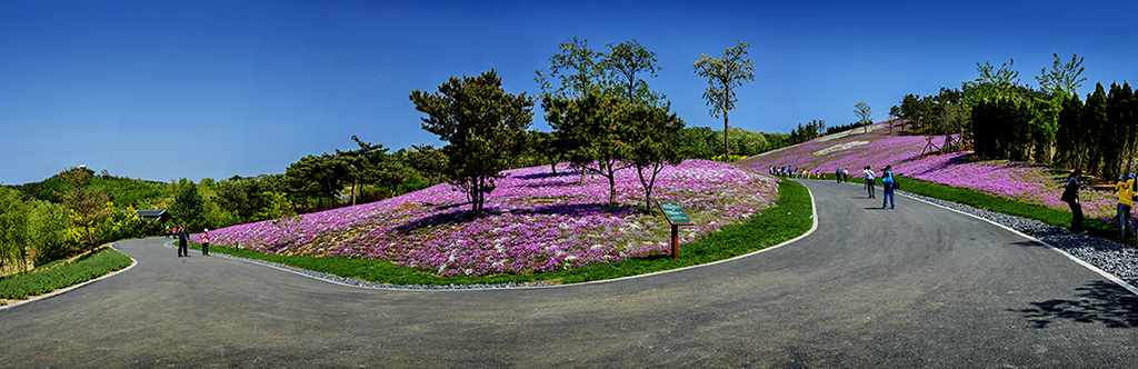 大連英歌石植物園