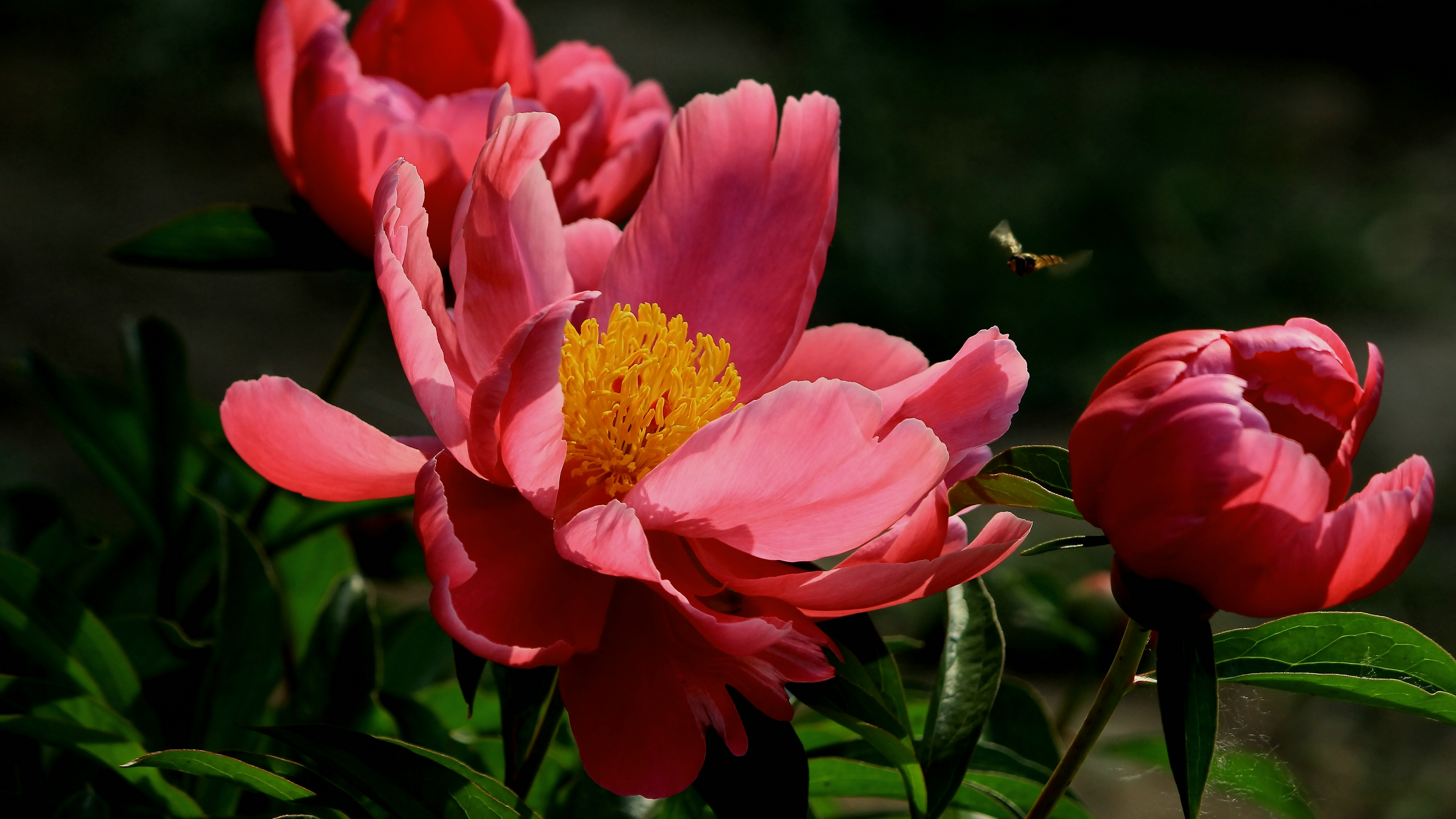 原图欣赏-太平洋摄影部落