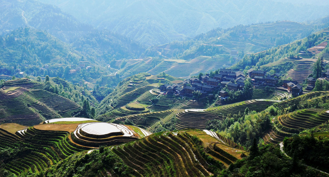 龍脊金坑梯田