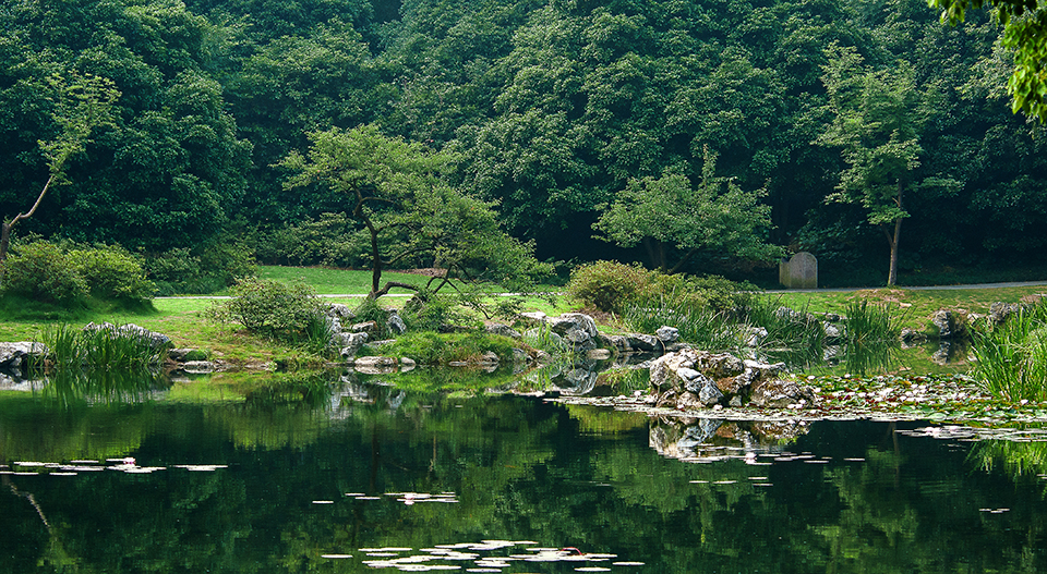 玉泉公园小景