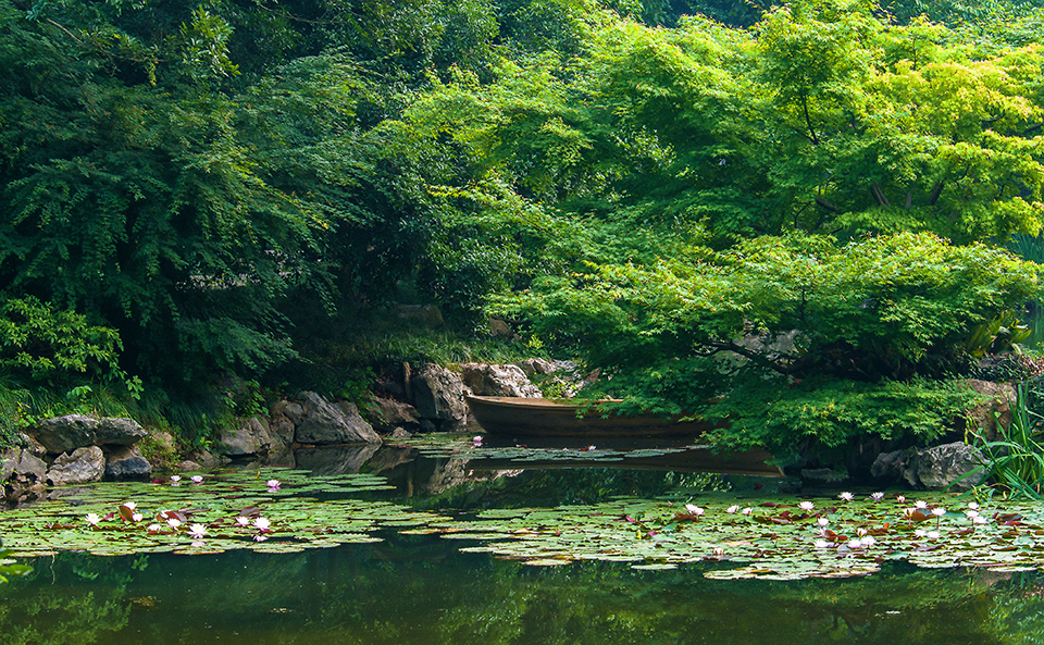 玉泉公园小景