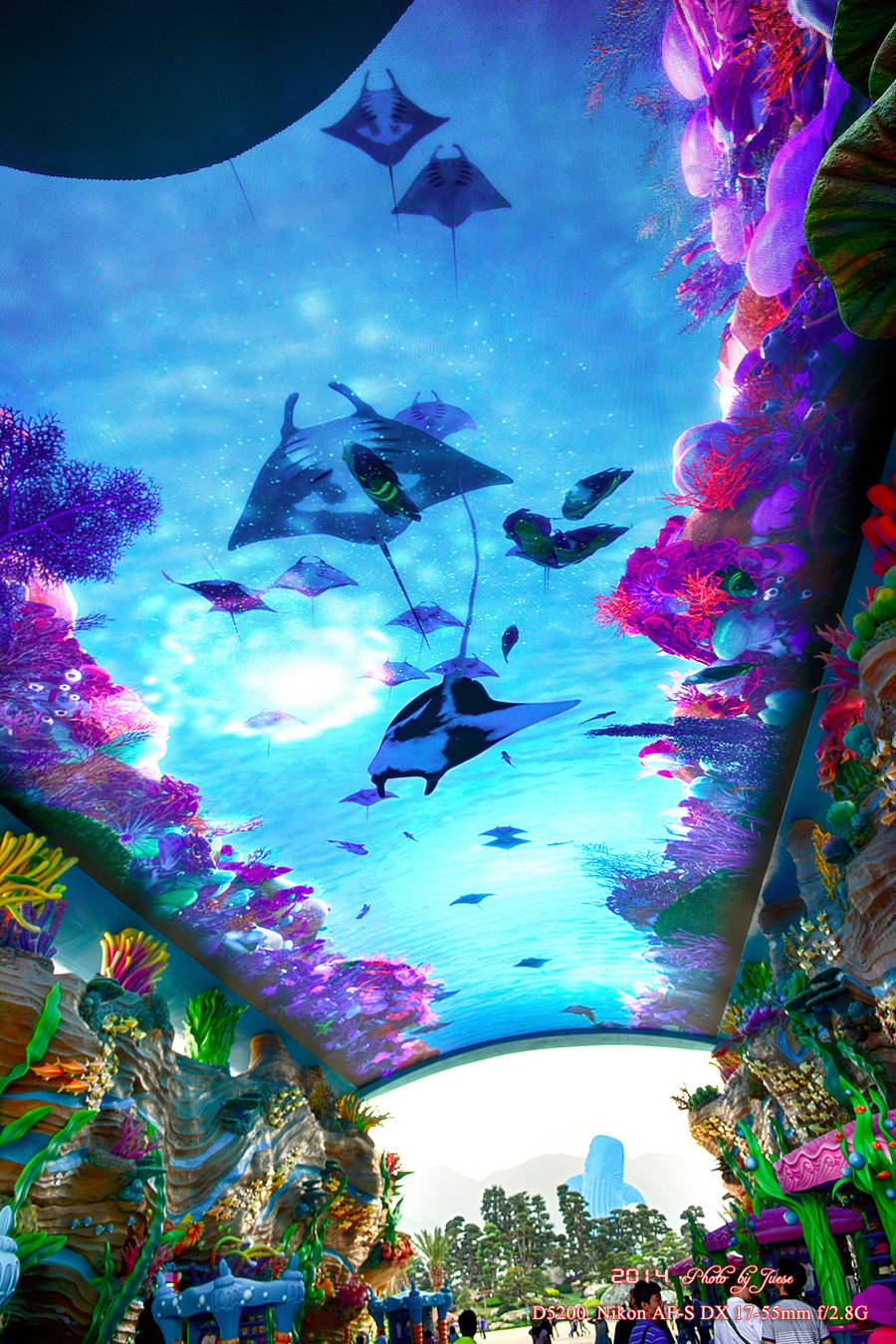 麣¡֮ⳡƪ