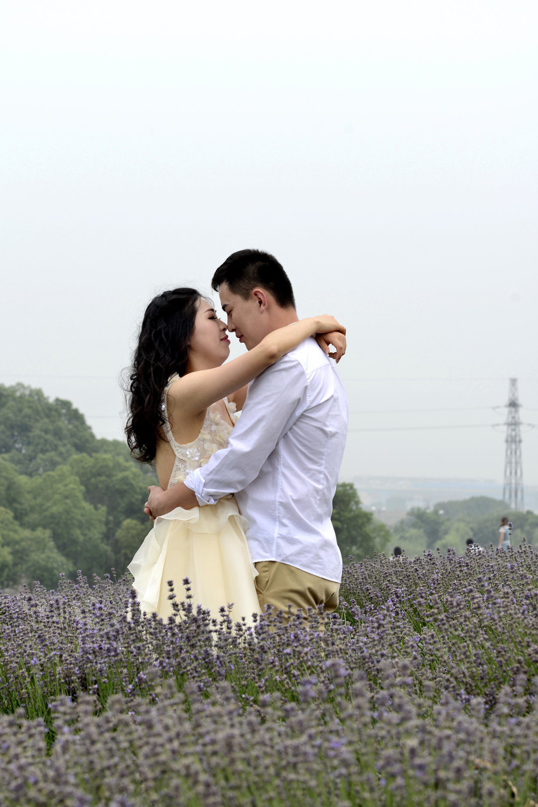 北京婚纱摄影；告诉你薰衣草花海花期