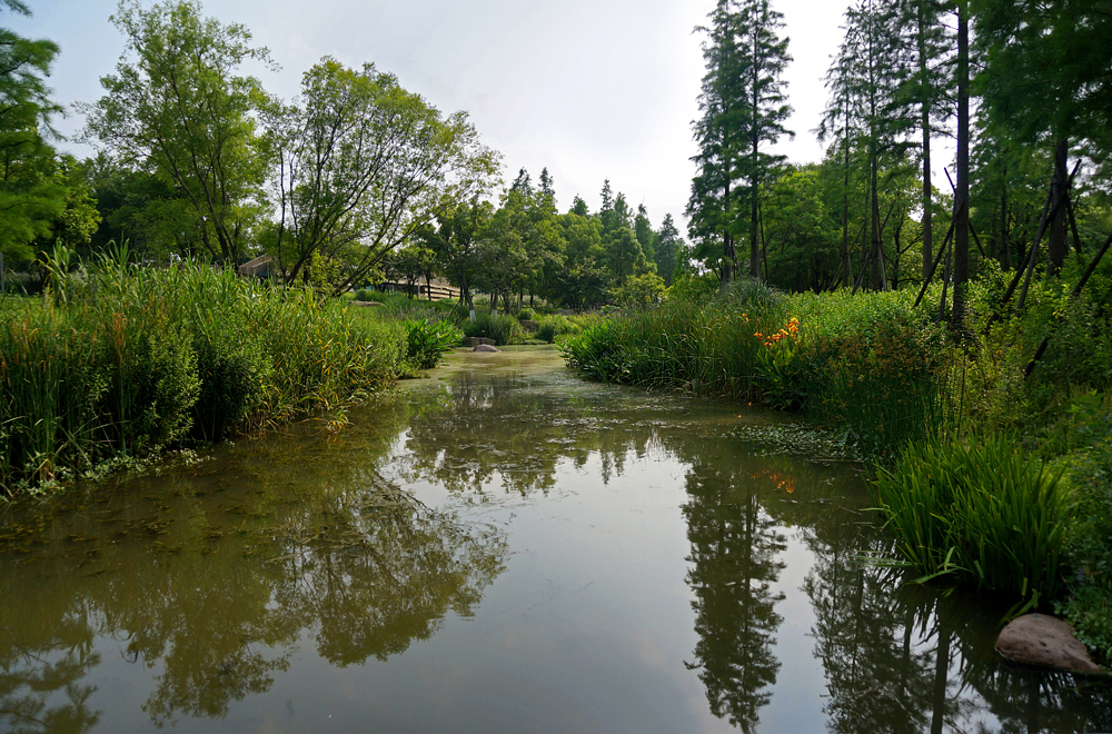 後灘溼地公園