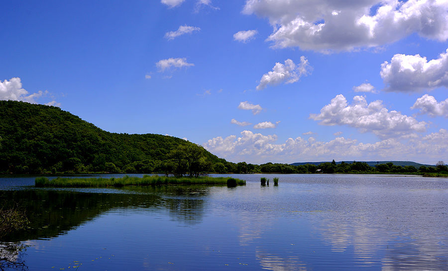 葛店紫菱湖湿地公园图片