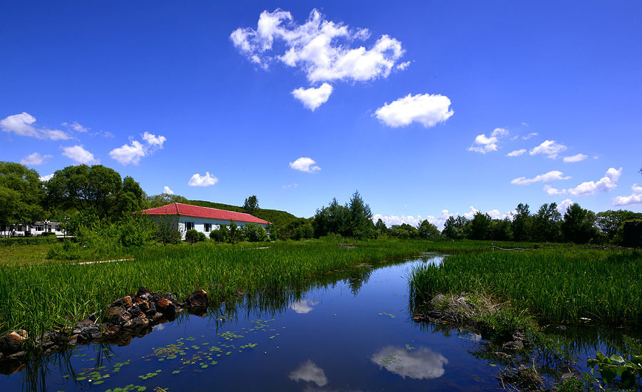 葛店紫菱湖湿地公园图片