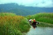 泸沽湖......草海